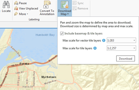 Vector and raster tile layers have different tile limits at the same map scale.