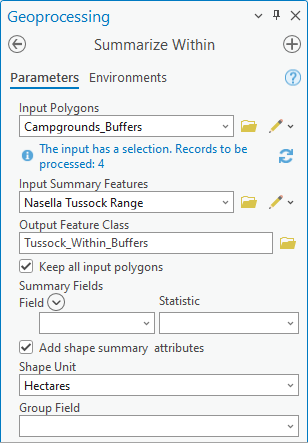 Summarize Within tool parameters