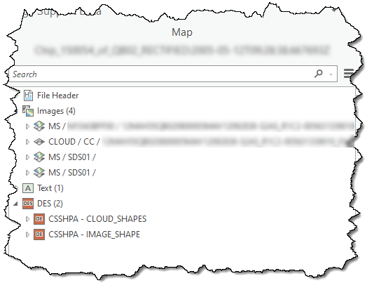 Image Support Data pane