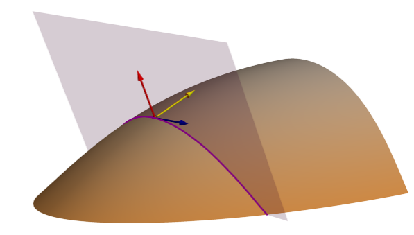 Contour applies the principles of architectural geometry