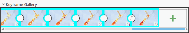 Selected keyframes