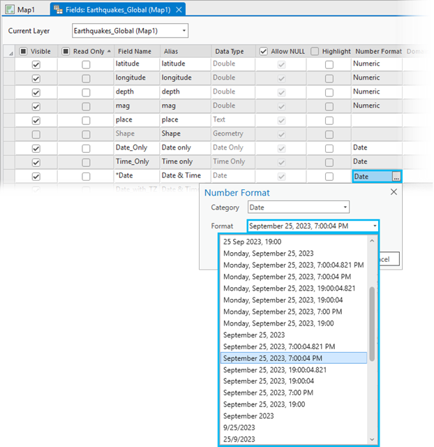 Date field formatting options