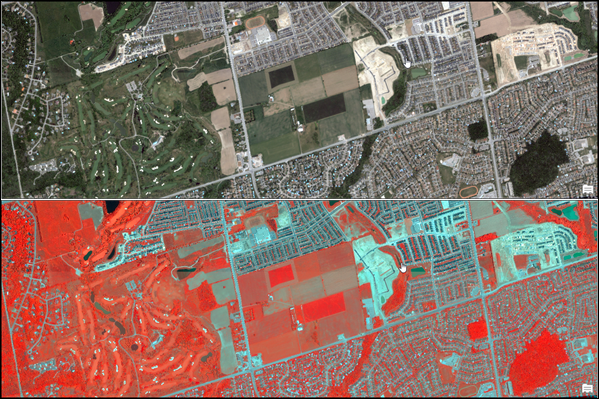 Graphic showing the same image in a natural color and color infrared renderer