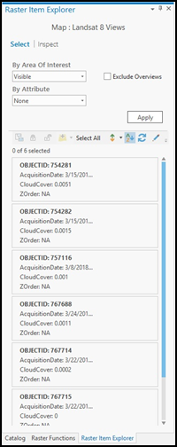 Raster Item Explorer pane listing the items contained in a mosaic dataset.