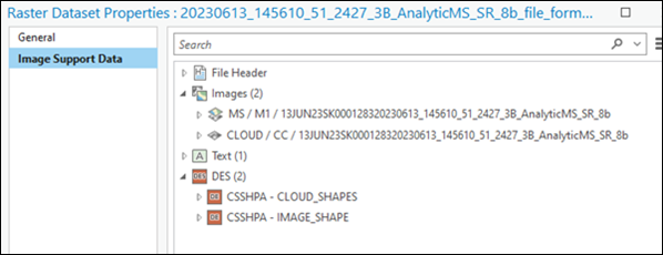 NITF Raster Dataset Properties dialog box