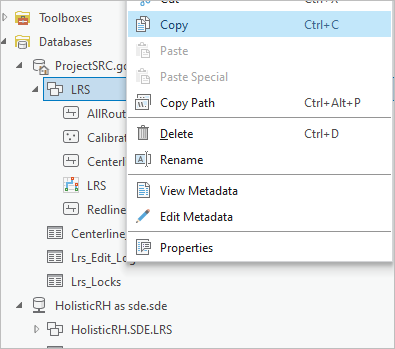 Copying the LRS feature dataset