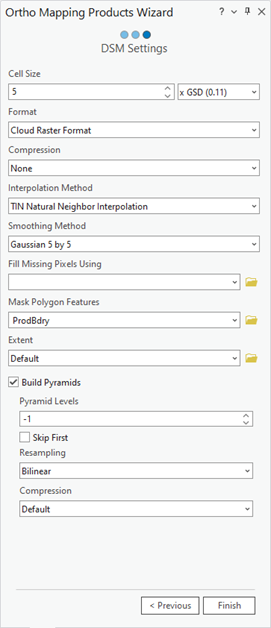 Ortho Mapping Products Wizard DSM Settings