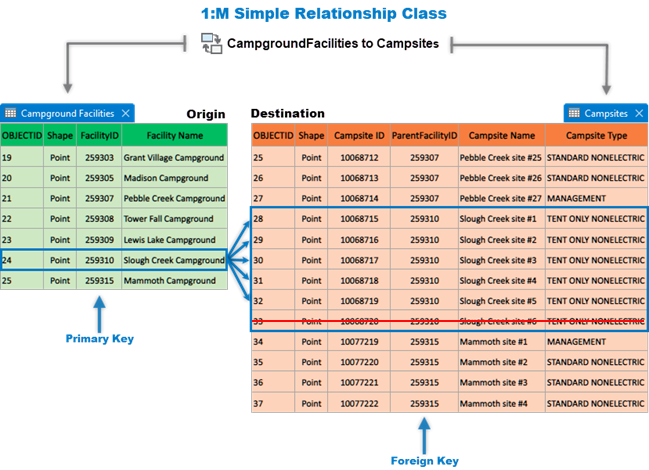 Simple one-to-many relationship class behavior when a child record is deleted in the destination table