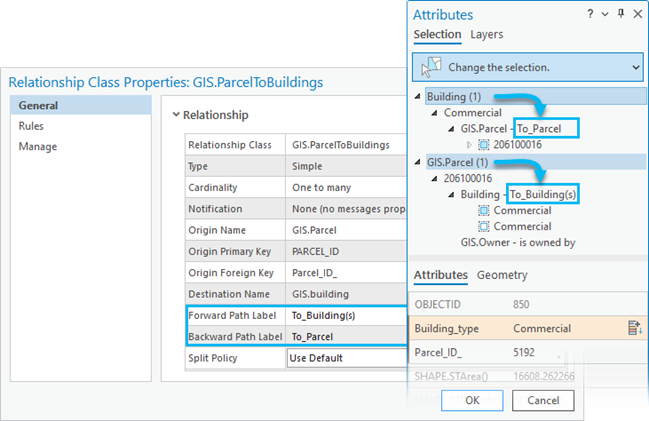 Updated Forward Path Label and Backward Path Label names are displayed on the Attributes dialog box.