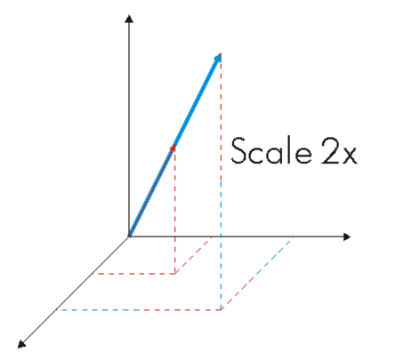 Scale