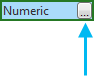 Determine display formatting for numeric field types button Determine display formatting for numeric field types button