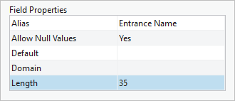 Field properties for the NAME field