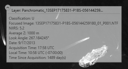 Expanded HUD metadata window