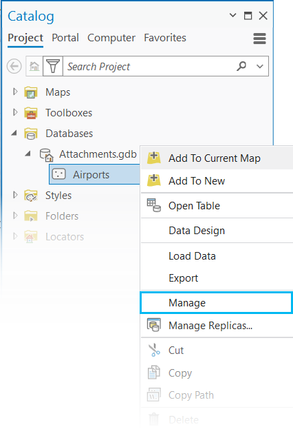 Context pane with the Manage option highlighted Context pane with the Manage option highlighted