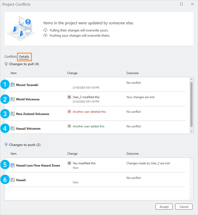 Details tab of the Project Conflicts dialog box Details tab of the Project Conflicts dialog box