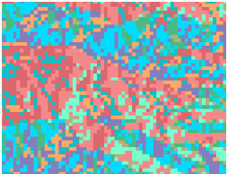 Raster of an area at a coarse resolution Raster of an area at a coarse resolution