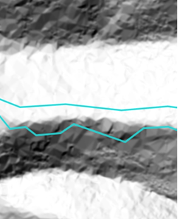 Ridge line Ridge line
