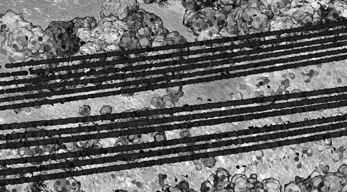 Intensity image of powerlines Intensity image of powerlines