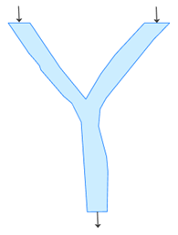 River network with two tributaries River network with two tributaries