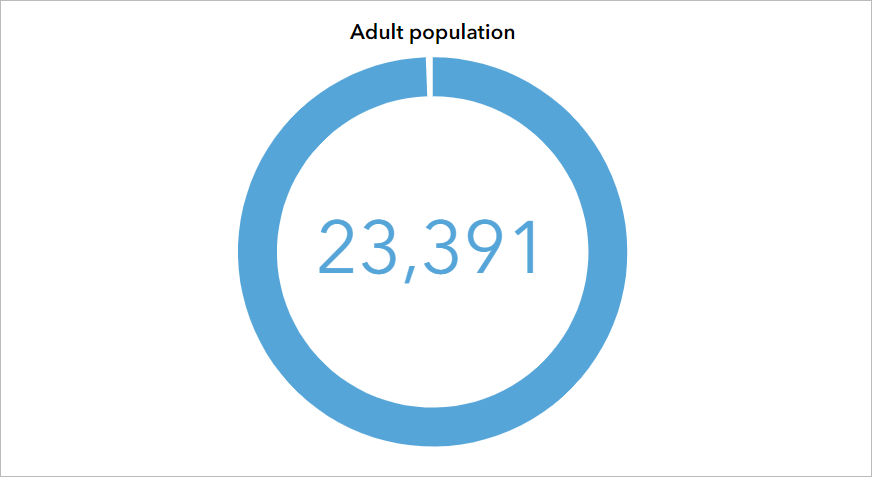 Gauge chart Gauge chart