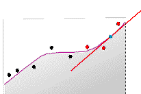 First-order polynomial First-order polynomial