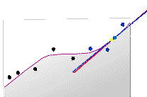 First-order polynomial First-order polynomial
