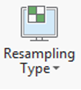 Resampling Type drop-down arrow Resampling Type drop-down arrow