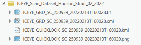 ICEYE raster product ICEYE raster product