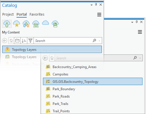Topology web feature layer Topology web feature layer