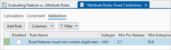 Duplicate Feature check in green under the Validation tab Duplicate Feature check in green under the Validation tab