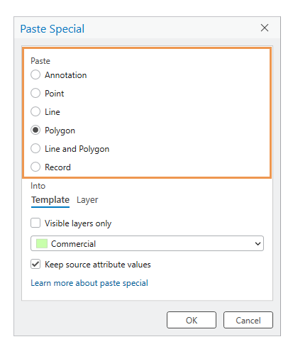 Paste Special feature choices Paste Special feature choices