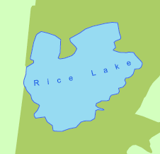 Polygon label set with the Spread letters to fill feature parameter. Polygon label set with the Spread letters to fill feature parameter.