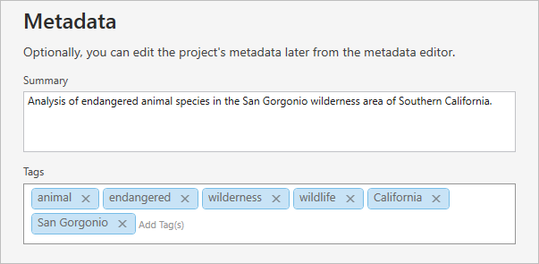 Metadata page of the wizard Metadata page of the wizard