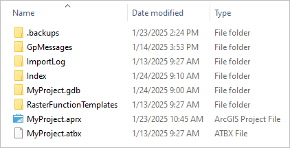 Content of a project home folder in File Explorer Content of a project home folder in File Explorer