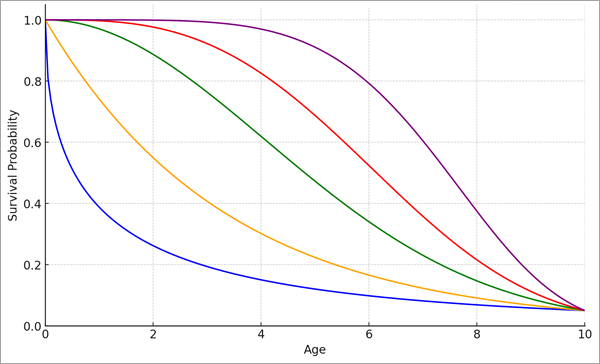 Survival curves with various shapes Survival curves with various shapes