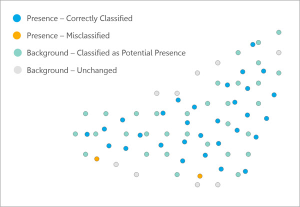 Separate spatial thinning applied to presence and background points Separate spatial thinning applied to presence and background points