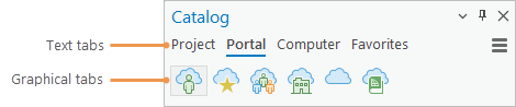 Text and graphical tabs in the Catalog pane