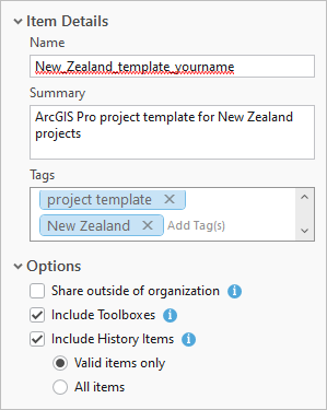 Item details for the project template