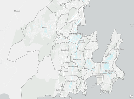 Light gray basemap displaying Wellington, New Zealand.