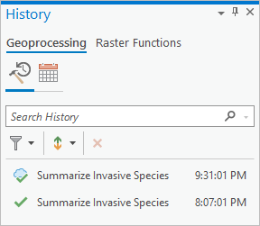 History pane with geoprocessing tool entries