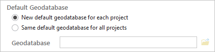 Geodatabase options for creating new projects