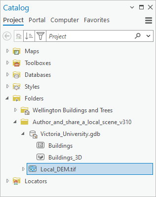 The Project tab on the Catalog pane with Local_DEM.tif selected