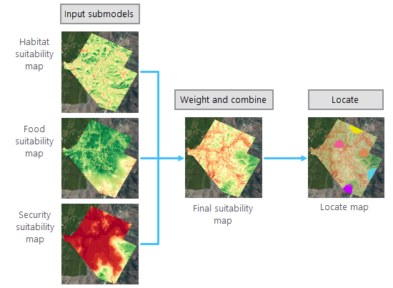 Combining the habitat, food, and security submodels to create the final suitability and locate maps