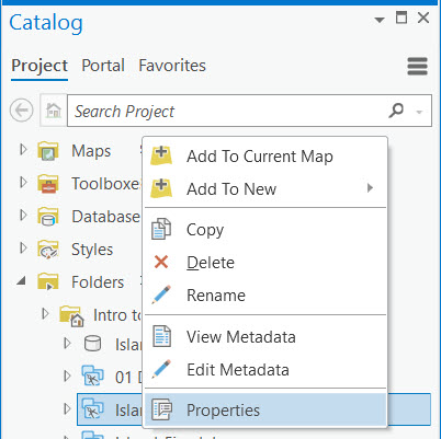 Properties option on the context menu in the Catalog pane