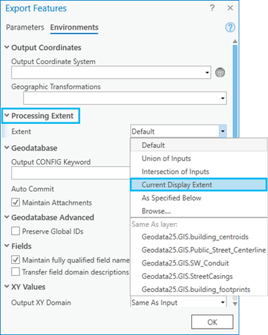 Current Display Extent option under the Environments tab