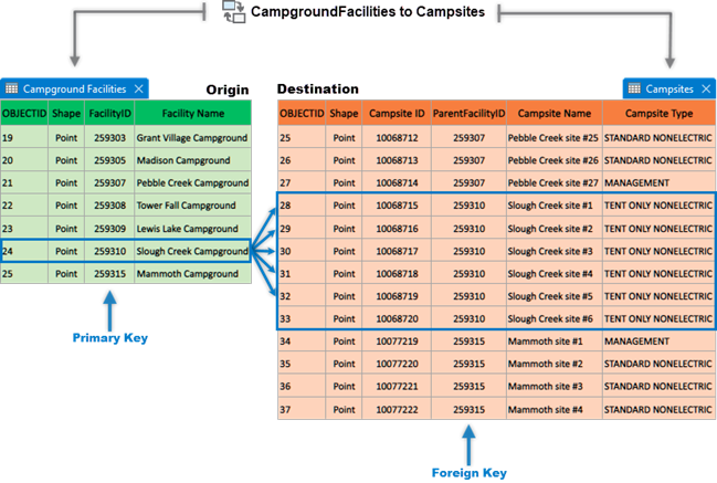 Diagram of a one-to-many relationship class