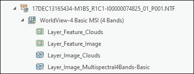 Types of products in a NITF raster product file