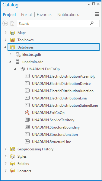 Utility network dataset in the Catalog pane
