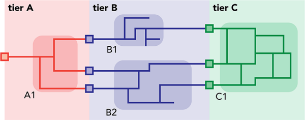 Three tiers with two types of tier topology