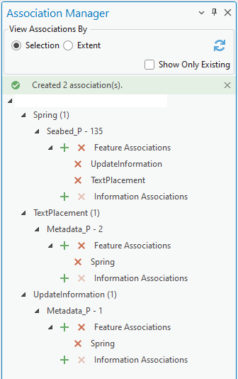 Association Manager pane with expanded features showing successfully created associations